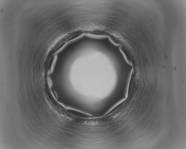 X0000074260440200609151805