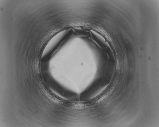 X0000074260441200609151805