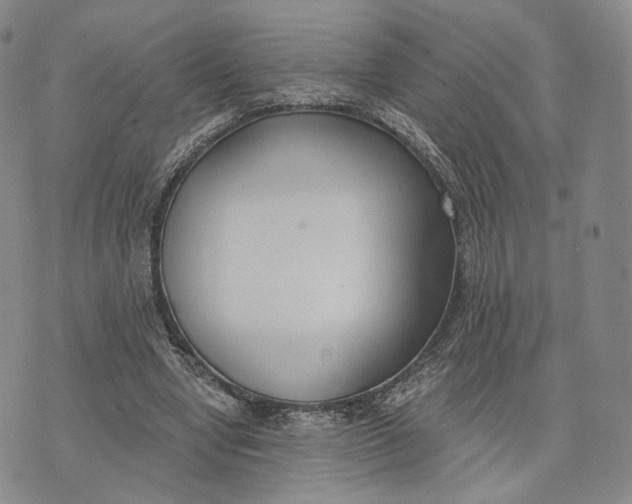 X0000074260442200609151805