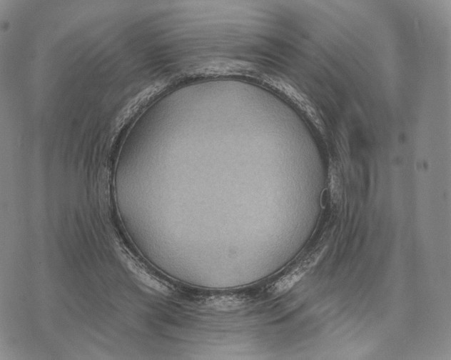 X0000074260445200609151805