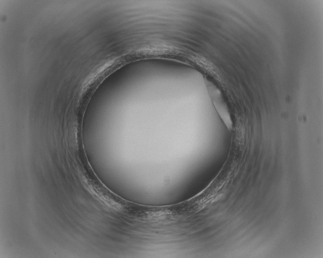 X0000074260446200609151805