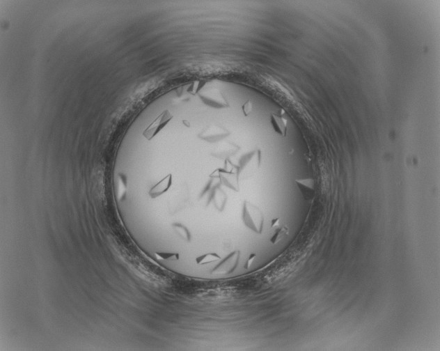 X0000074260447200609151805