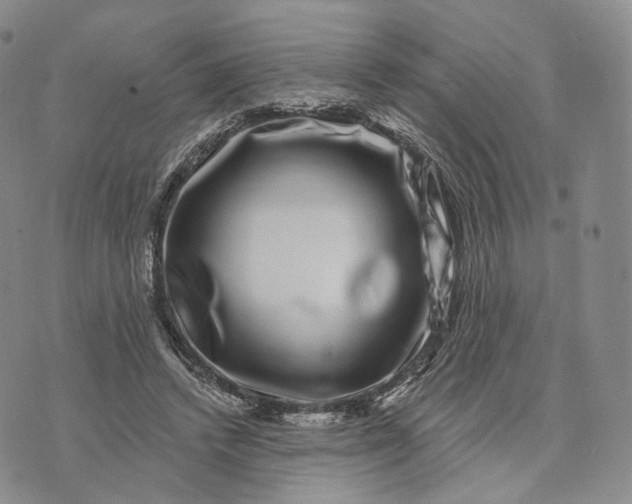 X0000074260448200609151805