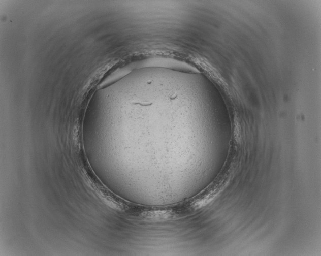 X0000074260449200609151805