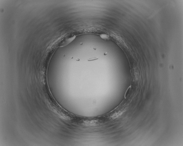 X0000074260450200609151805