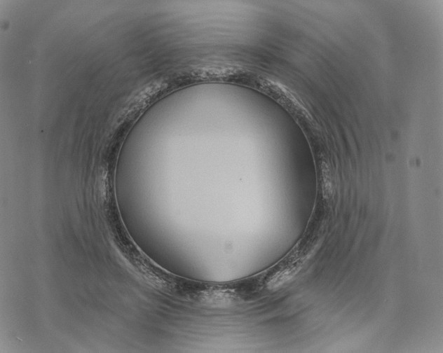 X0000074260451200609151805