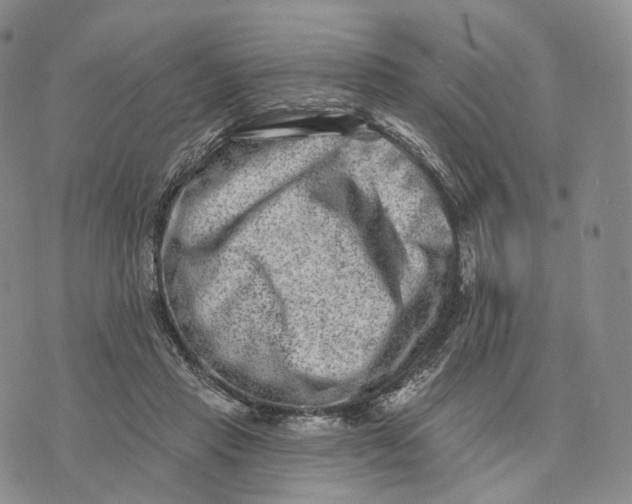 X0000074260453200609151805