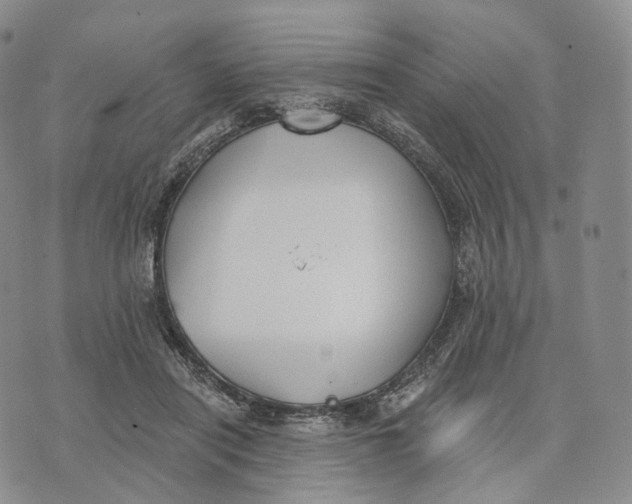 X0000074260454200609151805