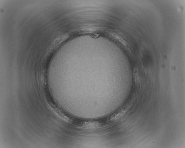 X0000074260455200609151805