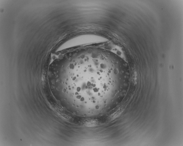 X0000074260456200609151805