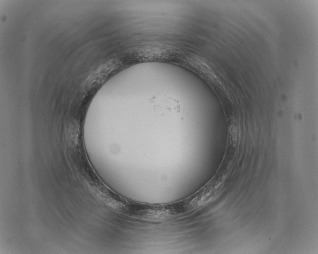 X0000074260458200609151805