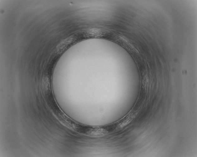 X0000074260459200609151805