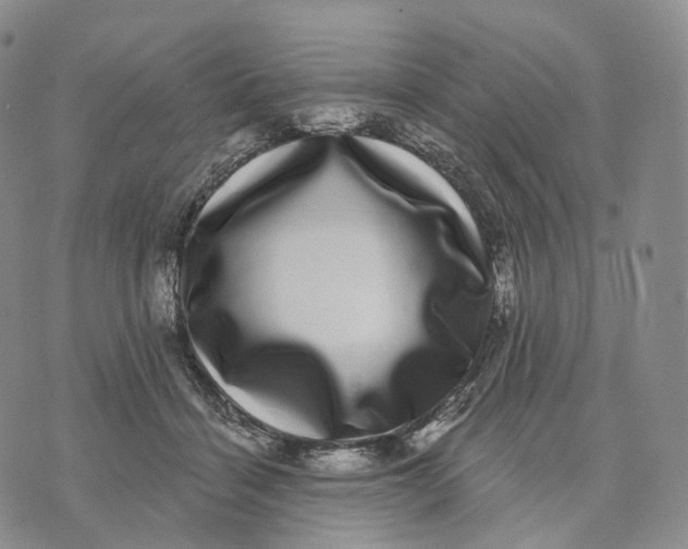 X0000074260460200609151805