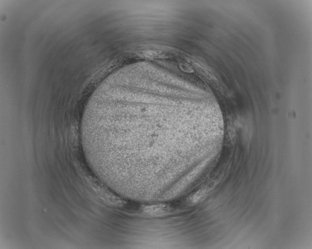 X0000074260461200609151805