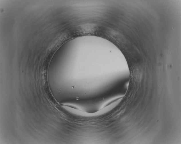 X0000074260462200609151805