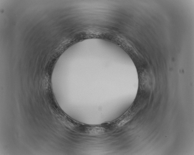 X0000074260463200609151805