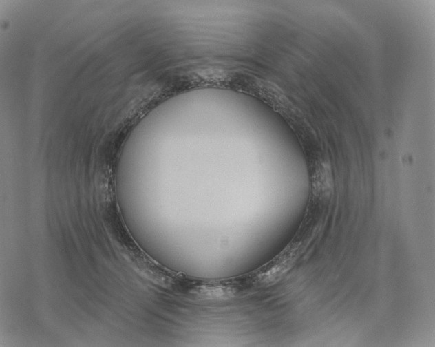 X0000074260464200609151806