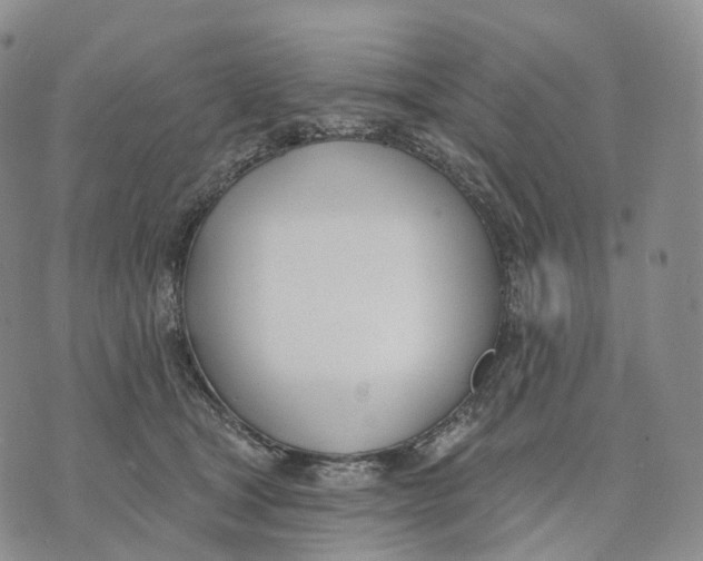 X0000074260465200609151806