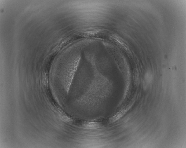 X0000074260467200609151806