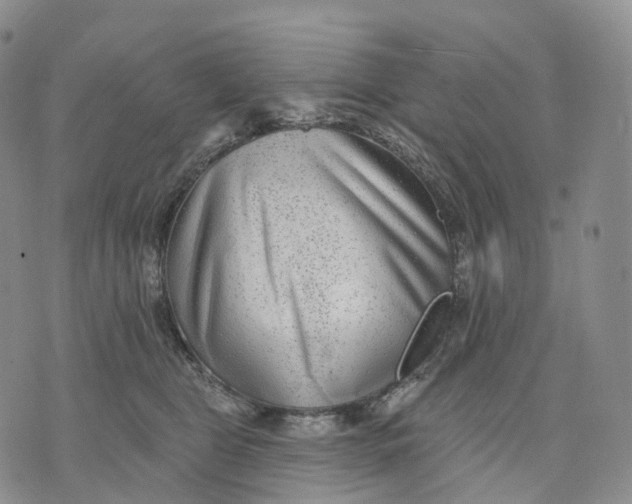 X0000074260469200609151806