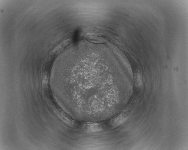 X0000074260472200609151806