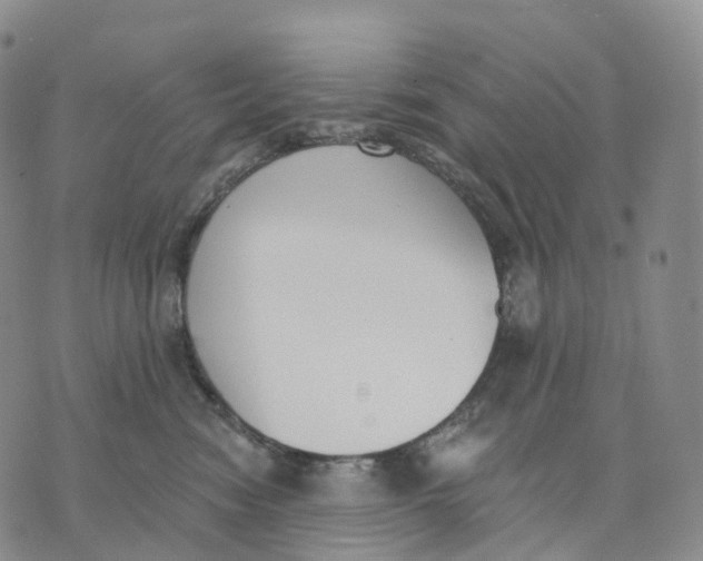 X0000074260474200609151806