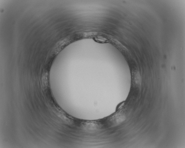 X0000074260475200609151806