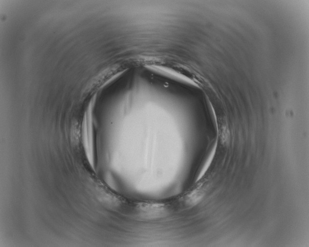 X0000074260476200609151806