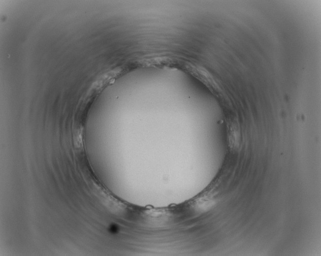 X0000074260477200609151806