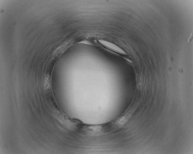 X0000074260478200609151806