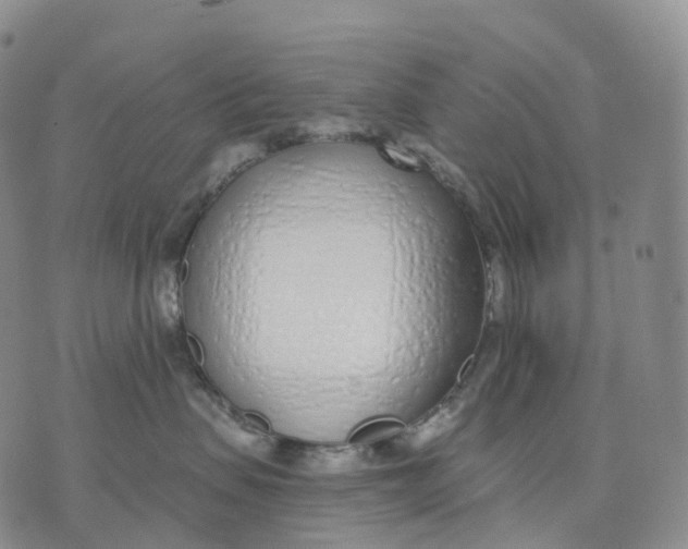 X0000074260479200609151806