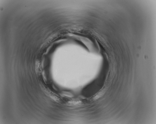 X0000074260480200609151806