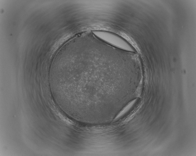 X0000074260481200609151805