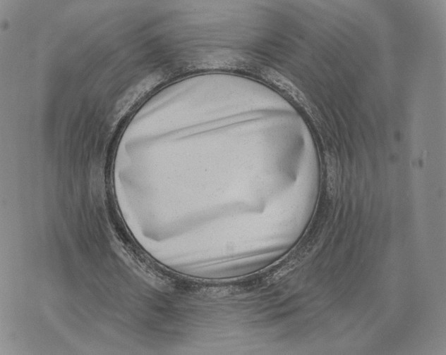 X0000074260482200609151805