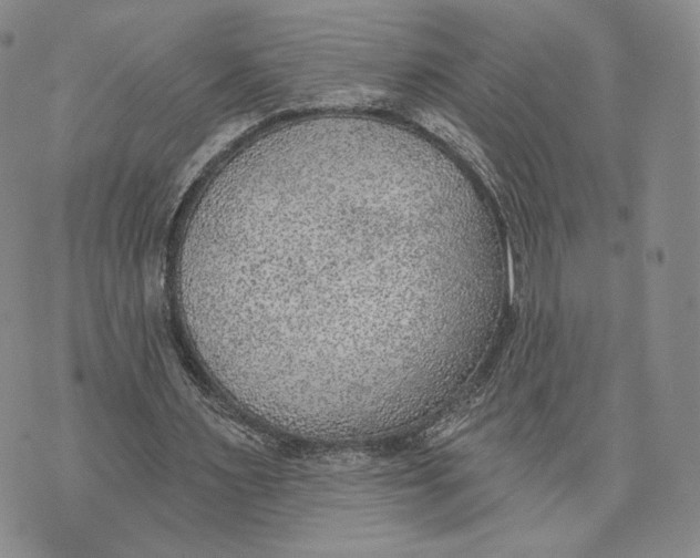 X0000074260483200609151805