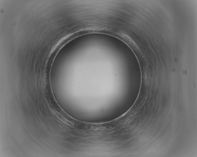 X0000074260484200609151805