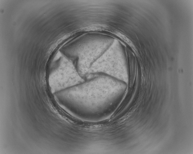 X0000074260485200609151805