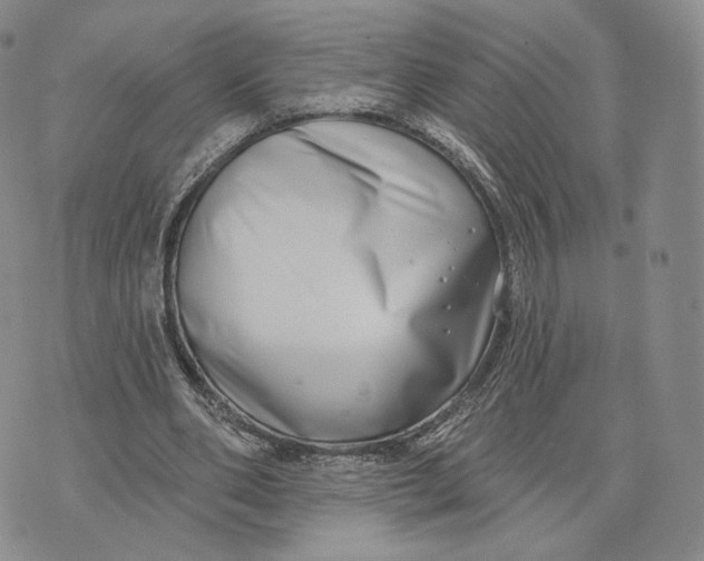 X0000074260486200609151805