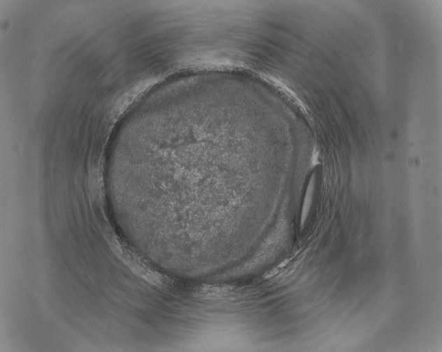 X0000074260487200609151805