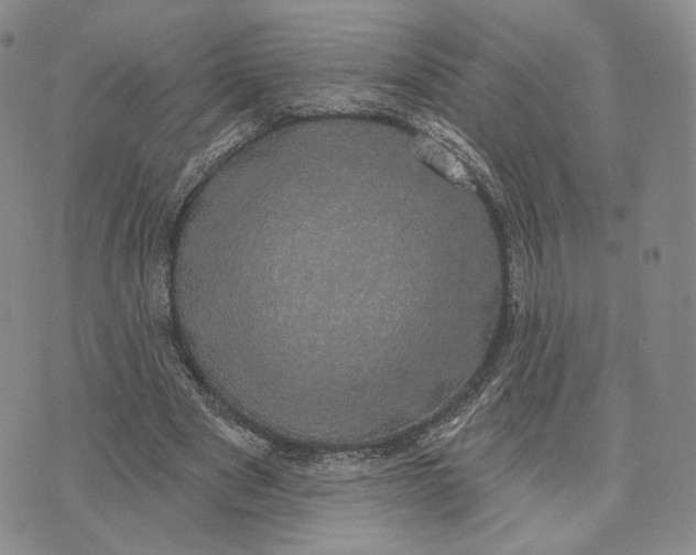 X0000074260489200609151805