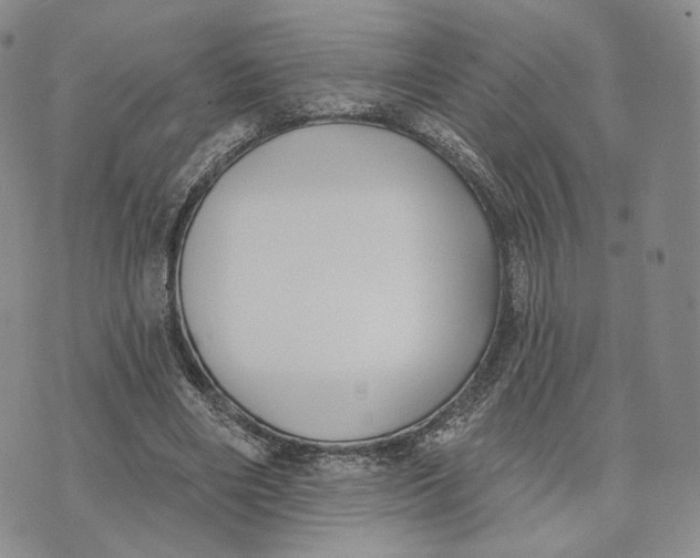 X0000074260490200609151805