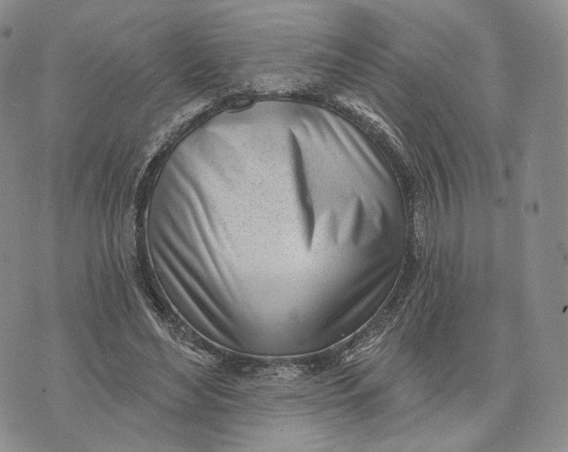 X0000074260492200609151805