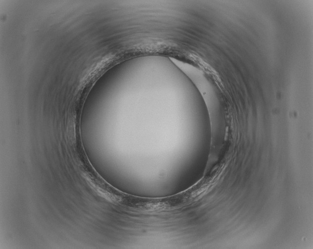 X0000074260493200609151805