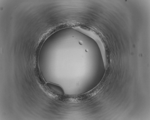 X0000074260496200609151805