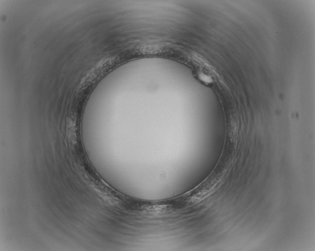 X0000074260497200609151805