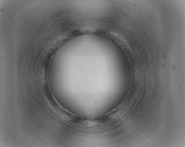 X0000074260498200609151805