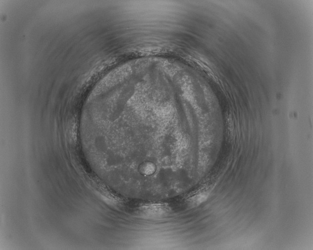 X0000074260499200609151805