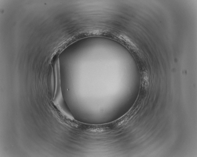 X0000074260500200609151805