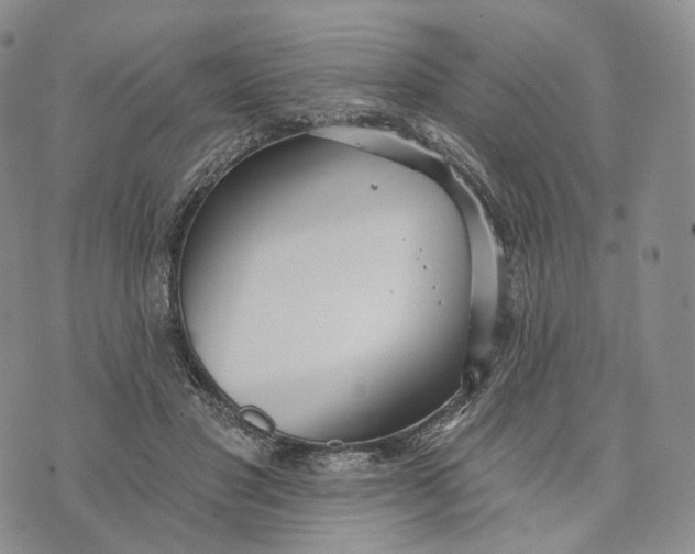 X0000074260501200609151805