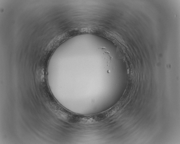 X0000074260502200609151805